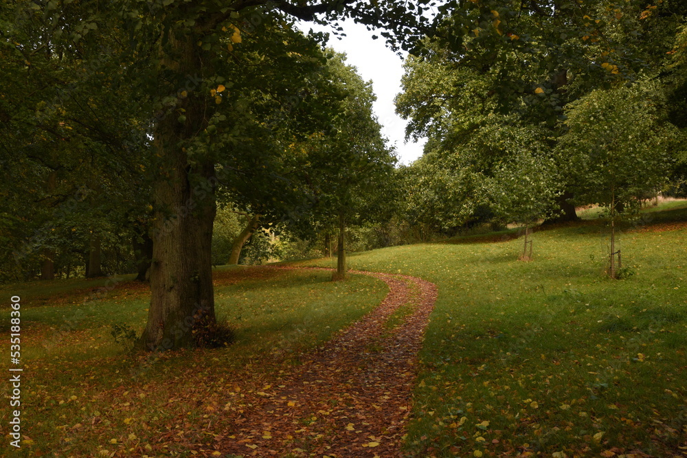 a footpath traveling though the new park at hagley a footpath traveling though the new park at hagley