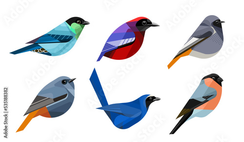 set of birds , Garnet Pitta , White-collared jay , Plumbeous Water Redstart , Black-capped Tanager , Eurasian bullfinch ,  Black Redstart