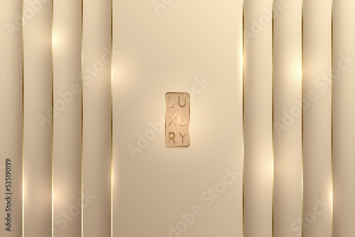 Vector pink gold luxury background for vip invitation card or flyer. Golden line edges with light flares. Premium design banner