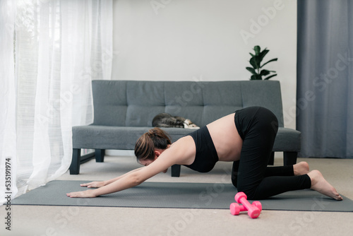 Pregnant asian woman is doing a yoga practice in downward pose. Stretching her body to keep her pregnant body in shape. Concept healthy pregnancy. Wellness and relaxation.