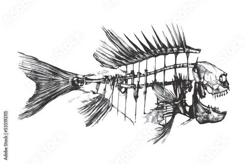 Fish skeleton. Fantastic Se...
