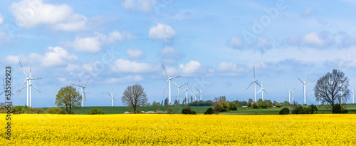 Windmill energy. Wind turbines in field of rapeseed, panorama.