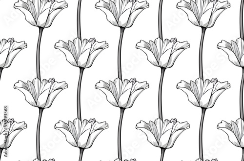 Seamless vector line art pattern made of black hand drawn tulip flowers on white