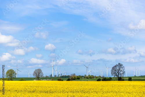 Windmill park in rapeseed field. Wind energy concept.