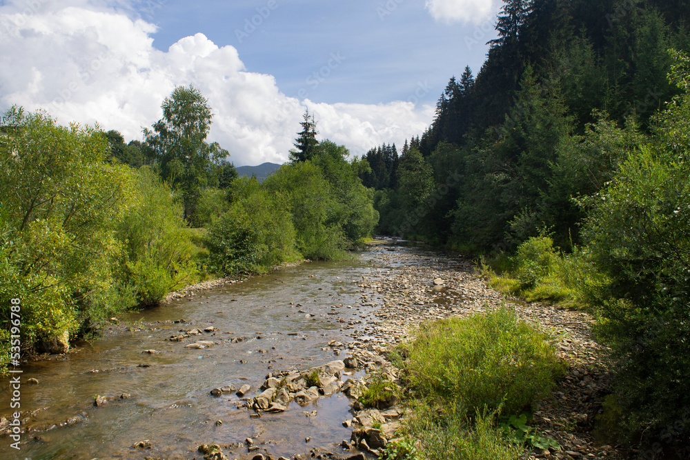 Obraz premium Wild mountain river flowing through a green trees, stones and forest in Vyshkiv near Synevyr National Nature Park, Ukrainian Carpathians. Mountain creek. Beautiful nature of the Karpaty, Ukraine