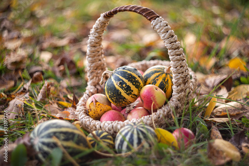 a wicker basket with pumpkins and apples stands on autumn foliage © Юлия Чиркова