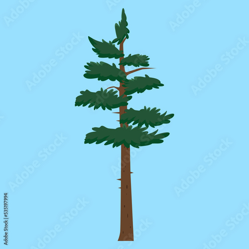 pine tree on a blue background