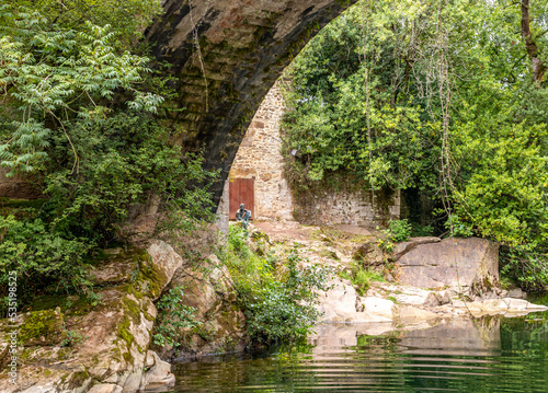 Ancient arch bridge over the river and abundant green vegetation