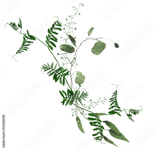 Watercolor painted greenery arrangement on white background. Green wild meadow plants  branches  leaves and twigs.