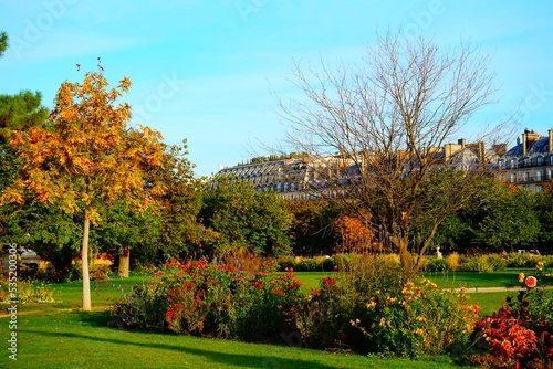 Autumn in Paris (France) - Powerfull colors in trees and leaves
