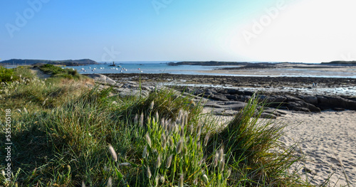 Brittany beach at low tide