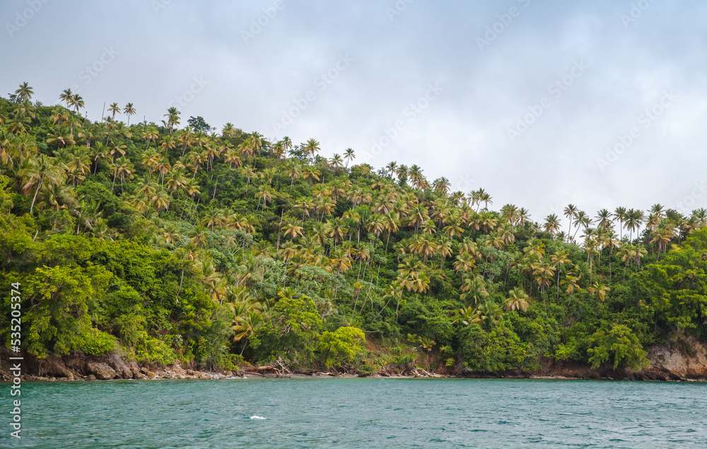 Samana bay, seaside view. Coconut palm trees on coast