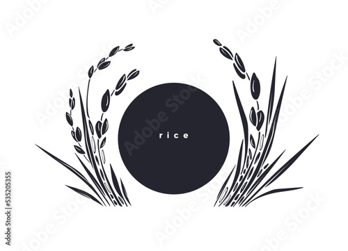 Rice template. Vector paddy field, grains. Graphic