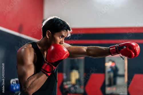 Portrait of Asian handsome sportsman wear boxing gloves in fitness gym. © Kawee