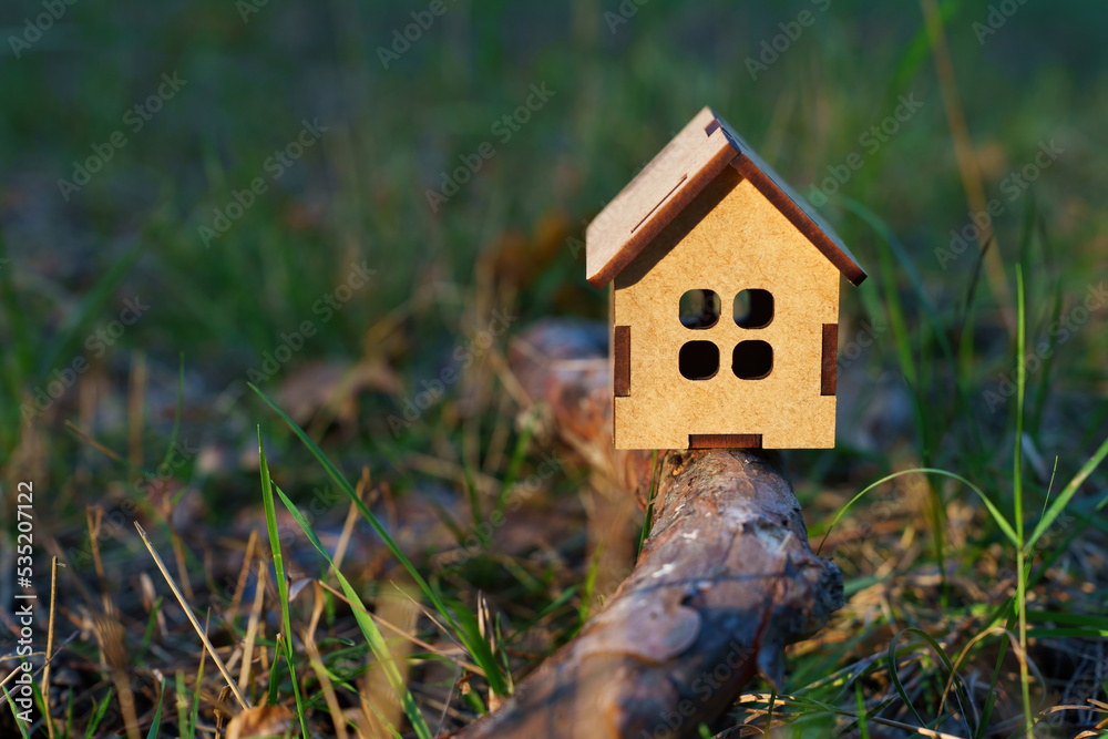 Toy house on a tree branch in the woods Toy house on a tree branch in the woods