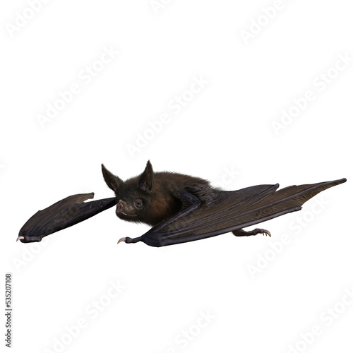 Halloween Vampire Bat on PNG Transparent Background