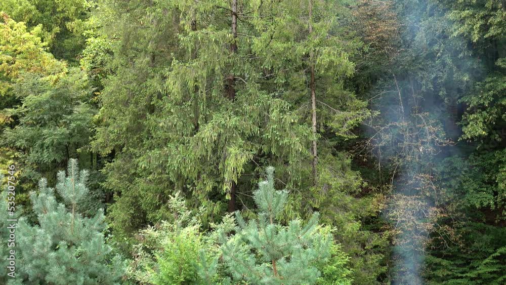 Smoke from the fire on the background of mixed forest. Recreation in the nature. Smoke from the fire on the background of mixed forest. Recreation in the nature.