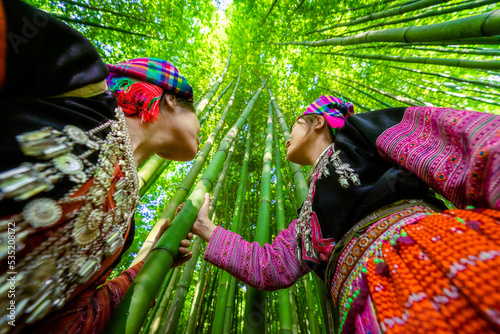 People H'mong ethnic minority with colorful costume dress walking in bamboo forest in Mu Cang Chai, Yen Bai province, Vietnam. Vietnamese bamboo woods. High trees in the forest photo