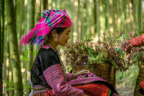 People H'mong ethnic minority with colorful costume dress walking in bamboo forest in Mu Cang Chai, Yen Bai province, Vietnam. Vietnamese bamboo woods. High trees in the forest photo