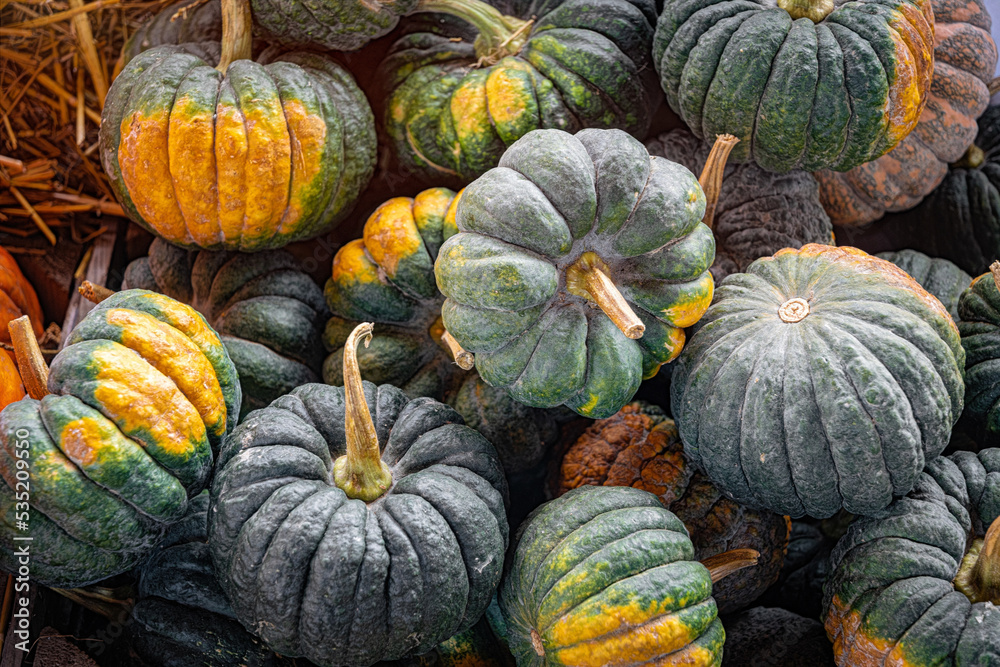  pile of pumpkins