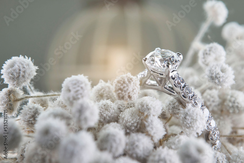 Close up of diamond ring with white flower, sunlight and shadow background. Love, valentine, relationship and wedding concept. Soft and selective focus.