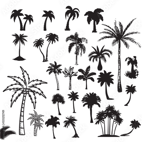 palm tree silhouettes Black palm trees set isolated on white background. Palm silhouettes. Design of palm trees for posters, banners and promotional items. Vector illustration © Bisma