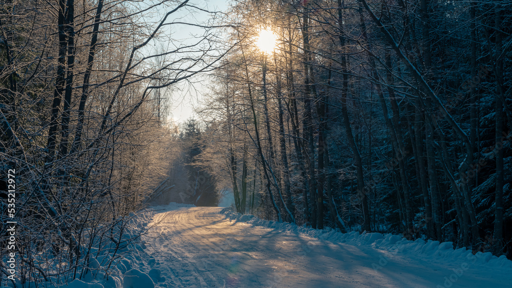 Forest road in winter sunny morning. High quality photo