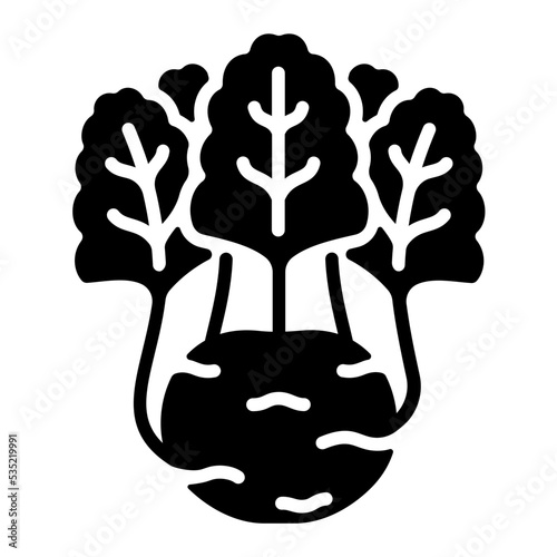 Kohlrabi