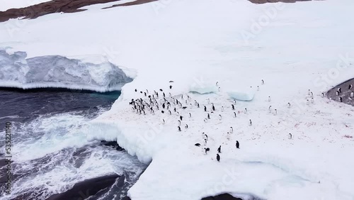 A beautiful group of penguins walks along the rocky coast near the Atlantic sea. Antarctica. 