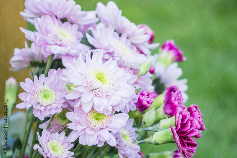 pink and white flowers pink and white flowers