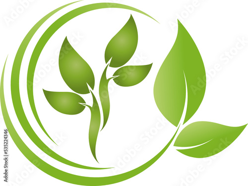 Kreise und Blätter, Pflanzen, Kreise, Gärtner, Heilpraktiker und Vegan Logo