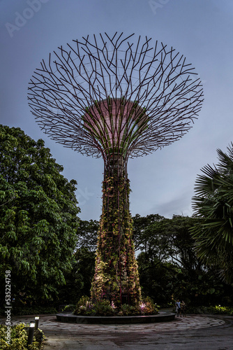 Singapore, July 24, 2022 - Super tree grove.