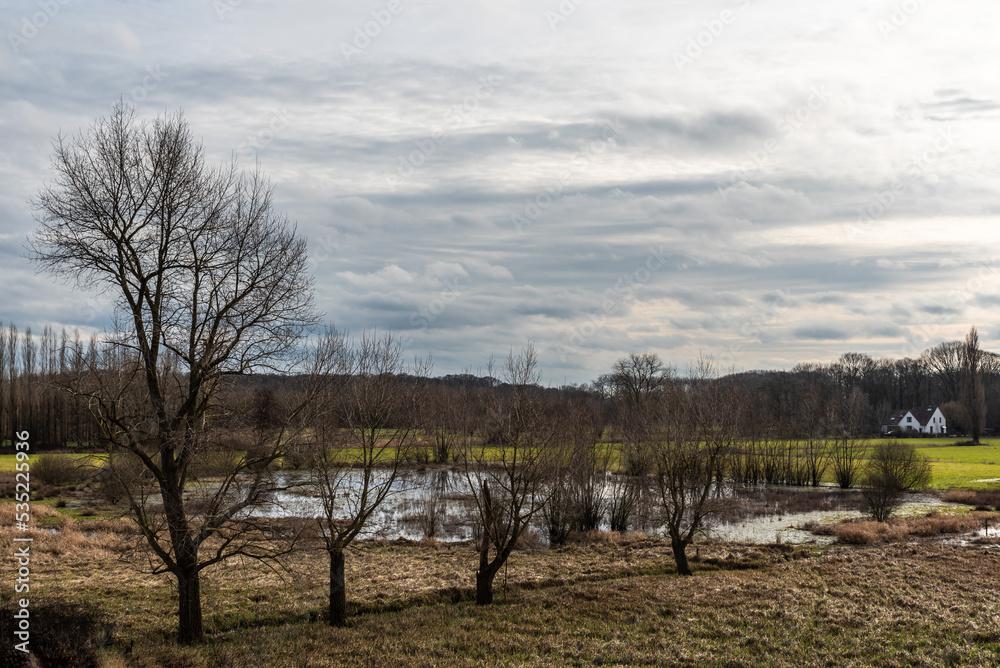 Nature reserve park with wetlands, fields and bare winter trees around Ghent, Flanders