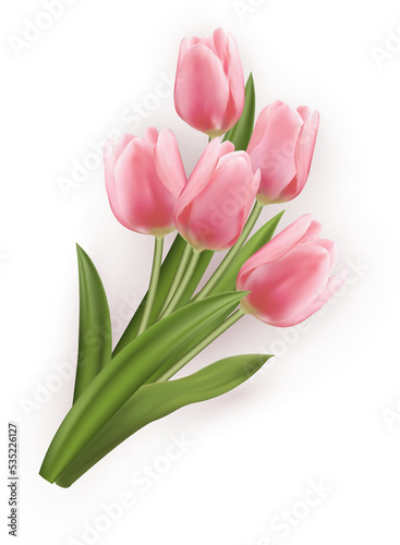 3D realistic plant pink tulip flower bouquet #535226127