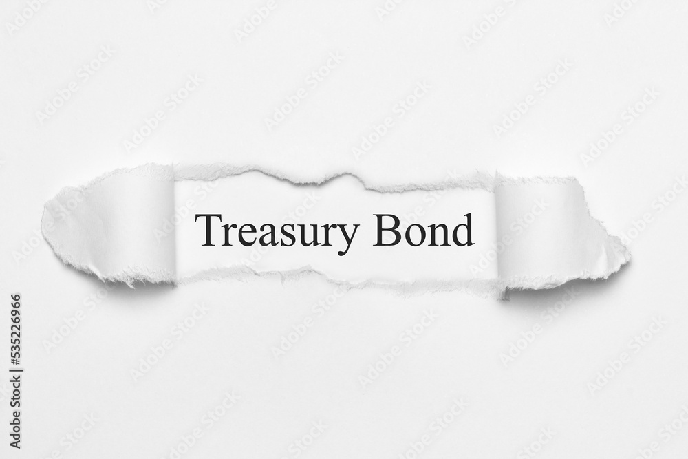 Treasury Bond Treasury Bond