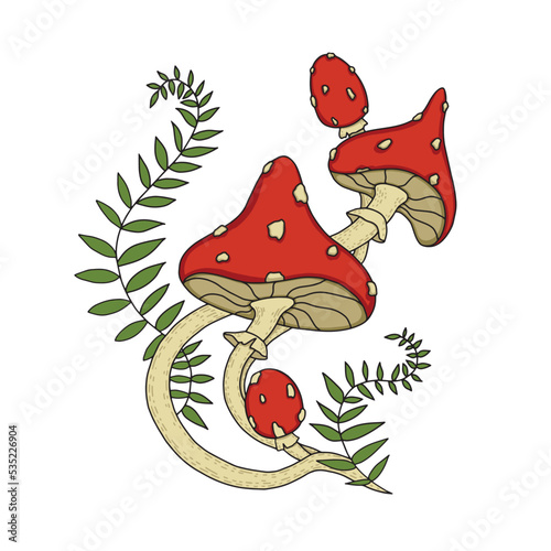 beautiful fly agaric