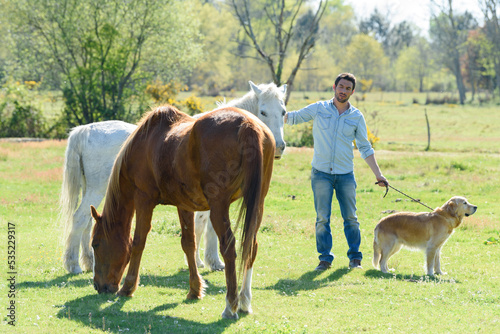 man with dog on lead petting horses in the field © auremar