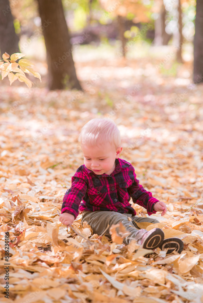 A little boy plays in the autumn park in yellow leaves. Autumn mood A little boy plays in the autumn park in yellow leaves. Autumn mood