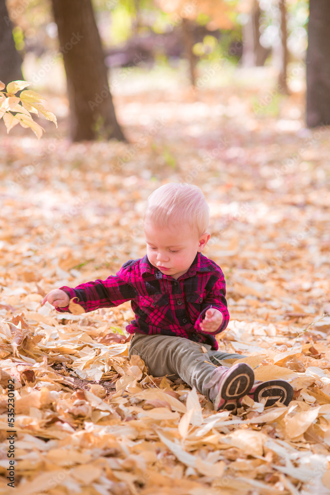 A little boy plays in the autumn park in yellow leaves. Autumn mood A little boy plays in the autumn park in yellow leaves. Autumn mood