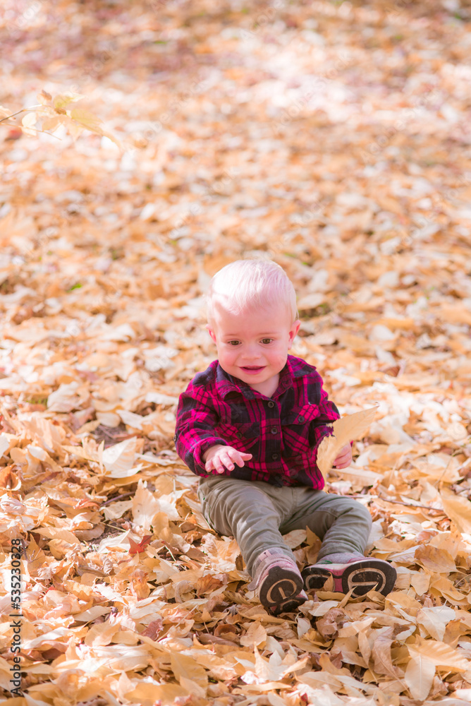 A little boy plays in the autumn park in yellow leaves. Autumn mood A little boy plays in the autumn park in yellow leaves. Autumn mood