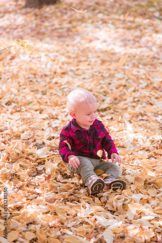 A little boy plays in the autumn park in yellow leaves. Autumn mood