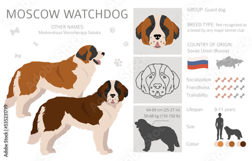Moscow Watchdog clipart. All coat colors set.  All dog breeds characteristics infographic