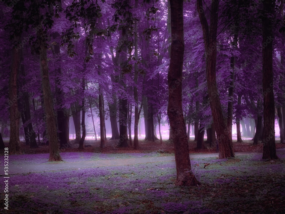 Mysterious woods in the morning mist. Autumn forest in thick fog in purple tones. Foggy mystical landscape.