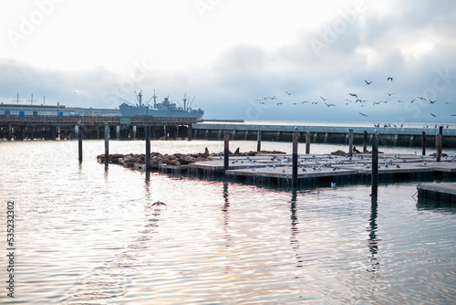Fisherman's wharf in San Francisco with sea lions © Marco Bonomo