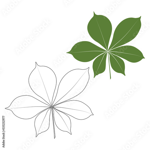 Set of vector chestnut leaf outline and coloured icon. Simple chestnut leaves illustration for logo. Realistic hand drawn leaves illustration set on white background.