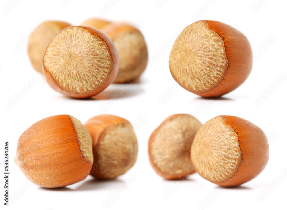 Hazelnuts on a white background Hazelnuts on a white background