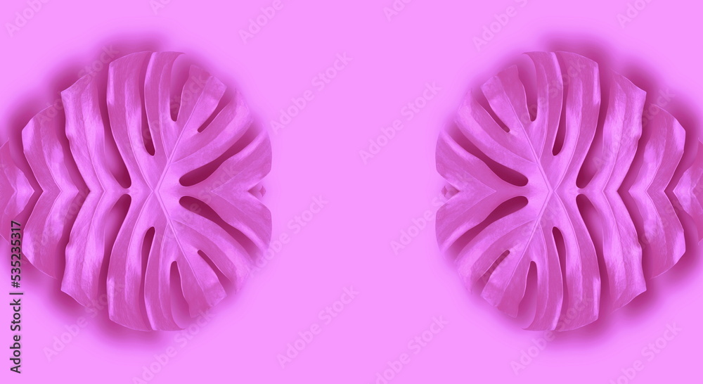 two pink flower abstract background two pink flower abstract background