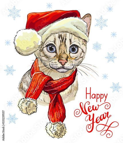 Funny bengal cat in christmas hat vector illustration