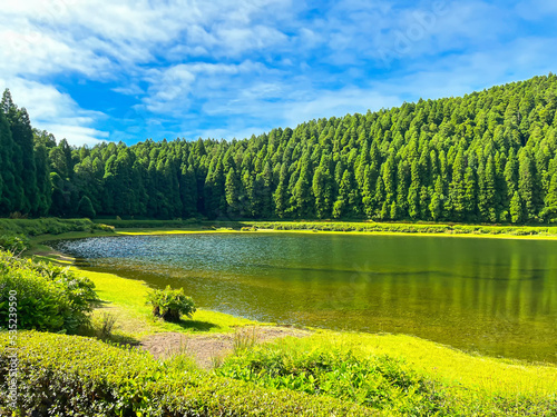 Reflection of forest trees in a mountain lake. Summer sunny landscape from the Azores