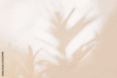 Leaf shadow and light on wall beige background. Nature tropical leaves plant and tree branch shade with sunlight on wall, shadow overlay effect photo